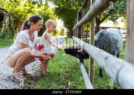 Mutter und Tochter Fütterung ein Schaf hinter Zaun Stockfoto