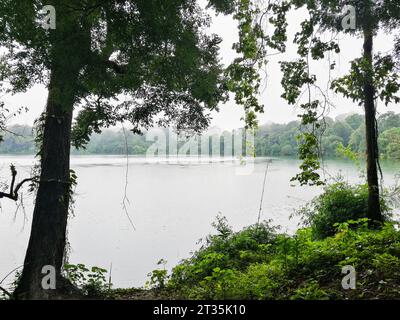 Kambodscha, Region Ratanakiri, Banlung, Yeak Loam Lake Stockfoto