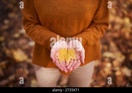 Frau mit Ahornblatt in Palme im Herbstpark Stockfoto