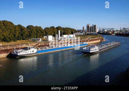 Flüssigfrachtschiff Blue Renee an der Bunkerstation für Flüssigerdgas (LNG) im Rheinhafen im Stadtteil Niehl, C Stockfoto