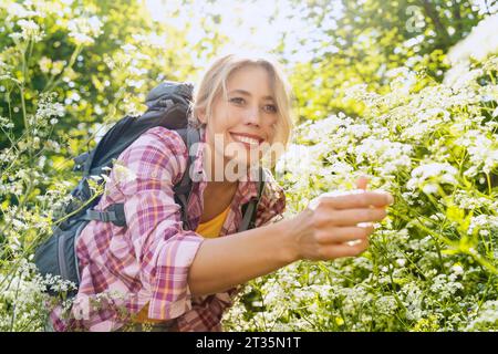 Lächelnde Frau, die Blumen im Wald pflückt Stockfoto