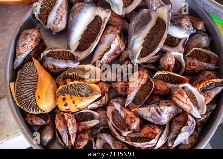 Hà Tiên, Vietnam. August 2014. Fisch- und Meeresfrüchtemarkt (cho Ca) entlang des Flusses Chau in Hà Tiên, Provinz Kiên Giang im Mekong-Delta Stockfoto