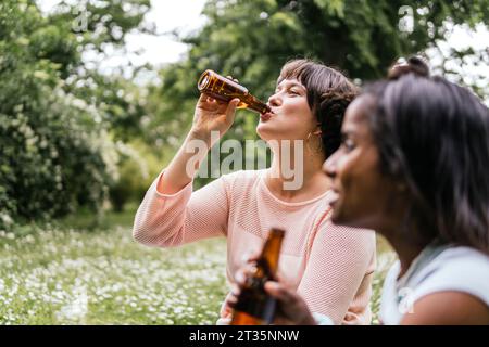 Glückliche Freunde trinken Bier im Park Stockfoto
