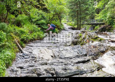 Frau, die auf Felsen inmitten von Bäumen im Wald wandert Stockfoto