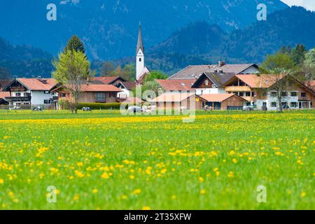 Deutschland, Bayern, Schwangau, Frühlingswiese vor dem Dorf Stockfoto