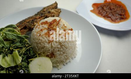 Wels-Pekel-Futter mit Uduk-Reis, gebratenem Wels, gekochten Papayablättern, rohen Kohl- und Basilikumblättern und Chili-Sauce Stockfoto