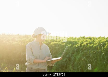 Landwirt mit Laptop auf dem Feld an sonnigen Tagen Stockfoto