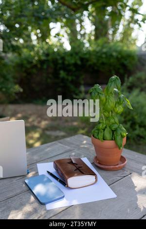 Laptop und Smartphone neben Topfpflanzen auf Holztisch im Garten Stockfoto