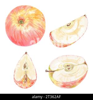 Clipart handbemalte rote Äpfel und grüne Blätter. Aquarell botanische Illustration isoliertes Element auf weißem Hintergrund. Kunst für das Design von Lebensmitteln, Logo Stockfoto