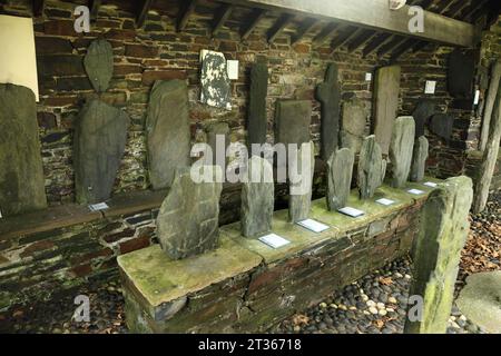 Antike mittelalterliche Manx-Kreuze im Kirk Maughold Kirchhof, Maughold, Isle of man. Stockfoto