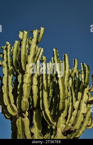 Capdepera torvo, Mallorca, Spanien Stockfoto