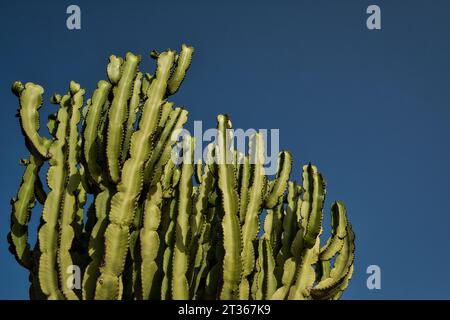 Capdepera torvo, Mallorca, Spanien Stockfoto