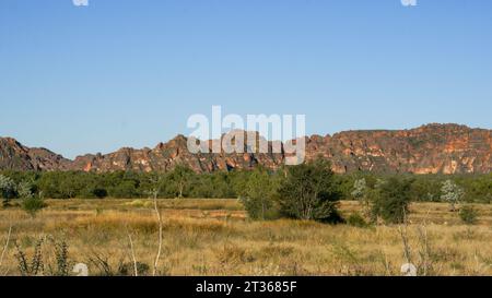 Die berühmten Bienenkuppeln der Bungle Bungle Range (Purnululu) im Abendlicht, Western Australia Stockfoto