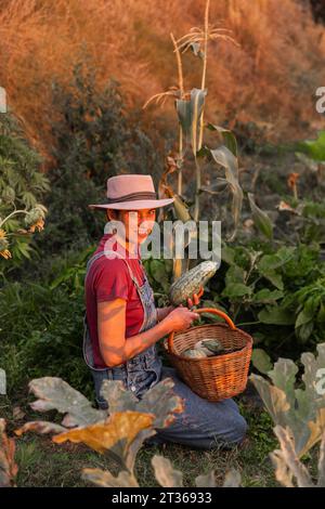 Lächelnde Frau erntet Zucchini im Gemüsegarten Stockfoto