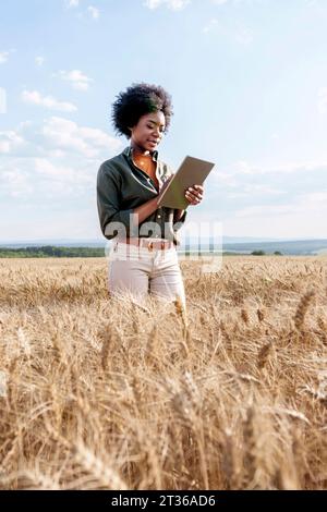 Junge Afrolandarbeiter mit Tablet-PC auf dem Gerstenfeld Stockfoto