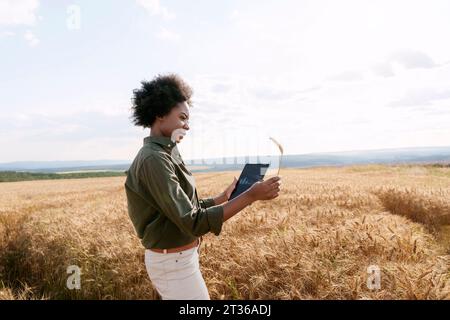 Junger Afro-Agronomist, der Tablettencomputer hält und Gerste im Feld untersucht Stockfoto