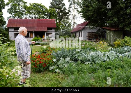 Senior Mann, der Pflanzen mit Schlauch im Garten bewässert Stockfoto