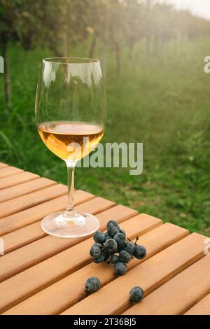 Glas Wein und rote Trauben auf dem Tisch im Weinberg Stockfoto