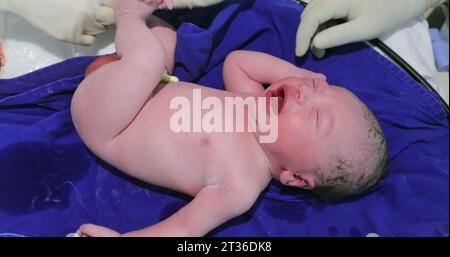 Neugeborene Geburt, Säuglingsbaby erste Lebensminuten Stockfoto