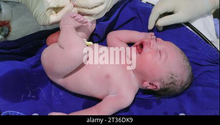 Neugeborene Geburt, Säuglingsbaby erste Lebensminuten Stockfoto