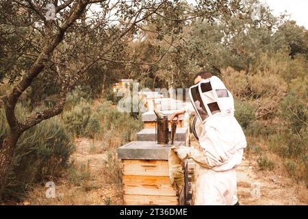 Imker arbeiten in der Nähe von Holzbienhäusern in Bienenstöcken Stockfoto