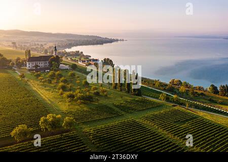 Deutschland, Baden-Württemberg, Uhldingen-Muhlhofen, Blick aus der Vogelperspektive auf die Birnauer Kirche und die Weinberge am See bei Sonnenaufgang Stockfoto