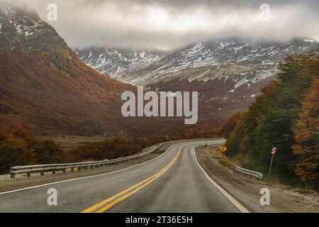 Innenansicht der Autobahn über den patagonischen Wald, Provinz feuerland, argentinien Stockfoto