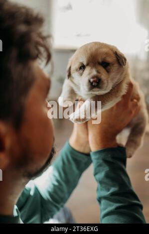 Mann, der zu Hause einen niedlichen Welpen mit gemischter Rasse hält Stockfoto