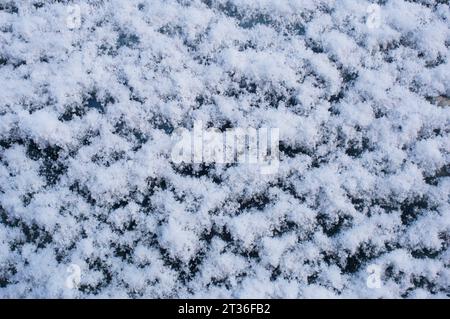 Schneeflocken auf natürlichem Hintergrund - John Gollop Stockfoto