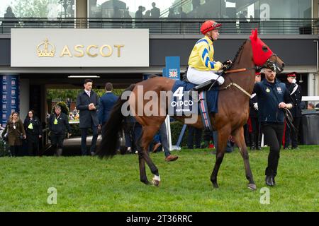 Ascot, Berkshire, Großbritannien. Oktober 2023. Horse Poptronic, geritten von Jockey Sam James, geht auf die Rennstrecke, bevor er am QIPCO British Champions Day die QIPCO British Champions Fillies & Mares Stakes auf der Ascot Racecourse gewinnt. Kredit: Maureen McLean/Alamy Stockfoto