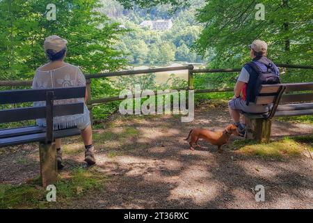 Rückansicht der Wanderer zusammen mit ihrem Hund, der eine Pause macht, auf Holzbänken sitzt und den Stausee Bitburg und die Berge mit grünen Bäumen bewundert Stockfoto