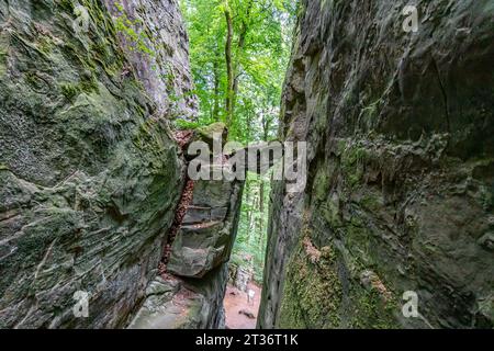 Felsen in einer schmalen Felsrille oder Wände aus Felsformationen mit verschiedenen Arten von Erosion, grüne Laubbäume im Hintergrund, sonniger Tag in Teufel Stockfoto