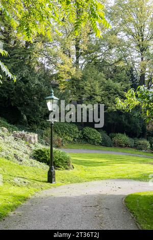 Herbstsonne im Arboretum, Lincoln City, Lincolnshire, England, Großbritannien Stockfoto