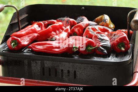 Roter Paprika auf dem Barbecue aus nächster Nähe grillen. Ajvar-Zubereitung im Balkanstil Stockfoto