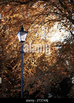 Herbst in Houghton, Cambridgeshire Stockfoto