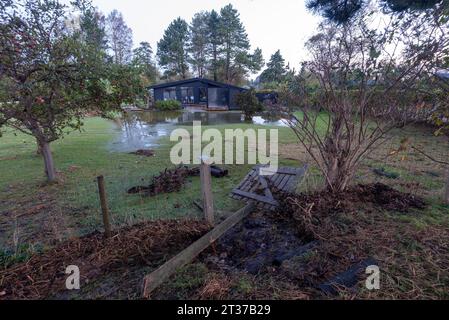 Sturmschäden nach Sturmflut, Ostseeinsel Moen, Dänemark Stockfoto