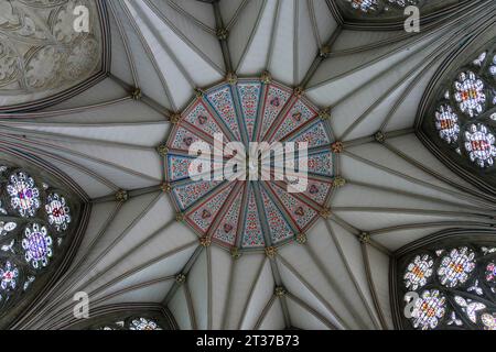 Innenansicht, Decke, Kapitelhaus, York Minster, Archidiözese York, York, England, Großbritannien Stockfoto