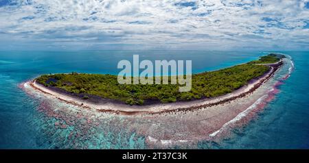 Luftaufnahme der unbewohnten Insel im Fakarava Atoll, typische Insellandschaft, vorderes Außenriff, Fakarava Atoll, Tuamotu Archipel, Tahiti, Gesellschaft Stockfoto