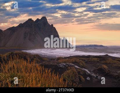 Sunrise Stokksnes Cape Sea Beach und Vestrahorn Mountain, Island. Atemberaubende Naturkulisse, beliebtes Reiseziel. Herbstgras auf schwarzem Vulkan Stockfoto