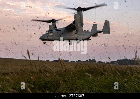 Beppu, Japan. Oktober 2023. Ein Neigungsrotor-Flugzeug der US-Marines MV-22 Osprey, das der Medium Tiltrotor Squadron 262 zugewiesen ist, wirft Staub auf, als es während Resolute Dragon 23 bei Sonnenuntergang auf dem Jumonjibaru Proving Ground Self-Defense Force Jumonjibaru am 19. Oktober 2023 in Beppu, Kyushu, Japan landet. Quelle: CPL. Kyle Chan/USA Marine Corps/Alamy Live News Stockfoto