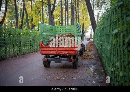 Kleiner Muldenkipper mit trockenem, gefallenem Laub im Herbstpark auf Asphaltstraße. Stockfoto