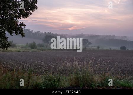 nebliger Sonnenuntergang, gepflügtes Feld, Sonnenuntergang über dem gepflügten Feld, romantische traumhafte Landschaft Stockfoto