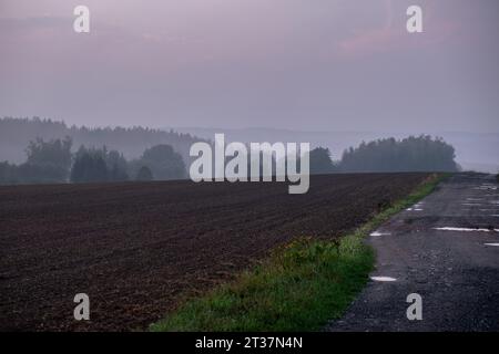 Nebelige Landschaft bei Sonnenuntergang, rote Wolken über gepflügtem Feld Stockfoto