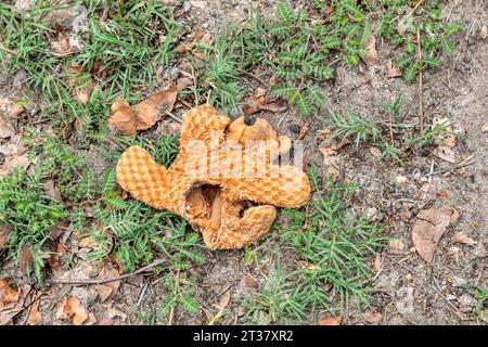 Gebrochen, ausgestopft, Tier, ausgeworfen, raus, Feld, Müll, Teddy, Bär, Plüschtier, verlassen, Missbrauch, Kinder, Verlorenen, Kindheit, alt, kuschelig, zerrissen, Spielzeug, gruselig, Stockfoto