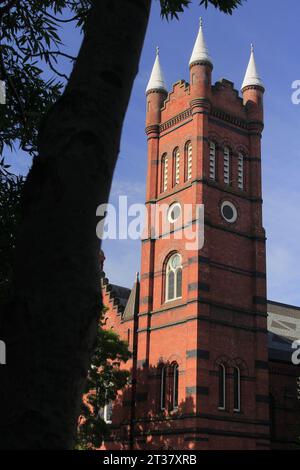 Hier ist die St. Andrew Presbyterian Church aus Victoria, BC. Stockfoto