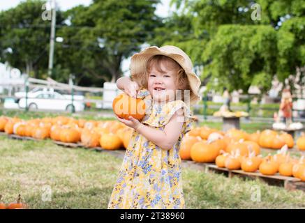 Ein kleines Mädchen mit Strohhut wählt Kürbisse auf dem Kürbisfeld auf einer Farm. Familientraditionen im Herbst Stockfoto