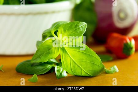 Frische Blätter mit Zwiebel und Pfeffer im Hintergrund weich fokussiert Stockfoto