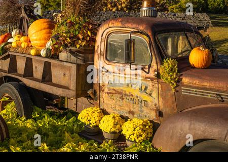 Vintage-Schlepper mit Kürbissen und Herbstlaub am Eingang zu den Georgia Mountain Fairgrounds in Hiawassee, Georgia. (USA) Stockfoto