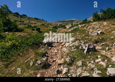 Steiler und rauer Steinpfad zum Trnovacki Durmitor Berg im Naturpark Piva (Montenegro) vom Sutjeska Nationalpark (Bosnien und Herzegowina) Stockfoto