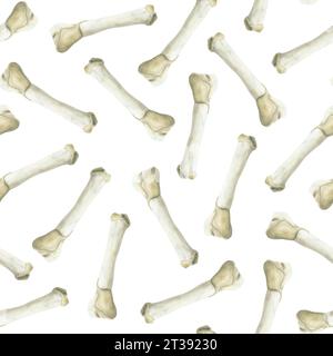Aquarell Tierknochen nahtloses Muster auf weißem Hintergrund für Dinosaurier archäologische Fossilien Designs Stockfoto